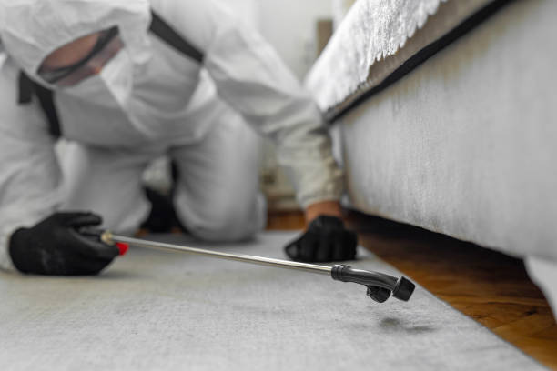 Professional Pest Control technician working in Dassel, MN