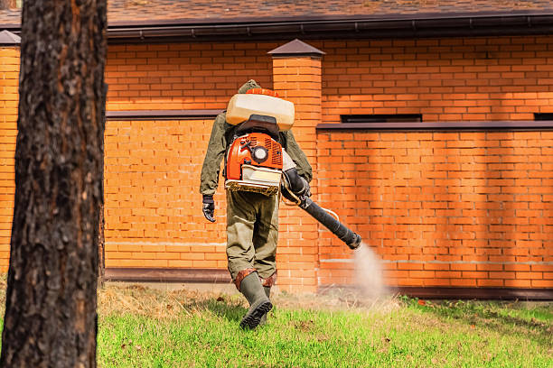 Trusted Cockroach Control service in Dassel, MN - Nex Pest Control
